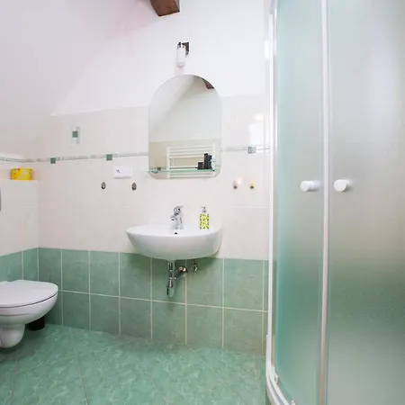 Nedrik Apartmán Rokytnice nad Jizerou