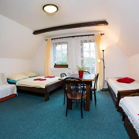 Apartmán Nedrik *